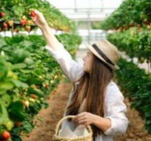 How to Start a Farm